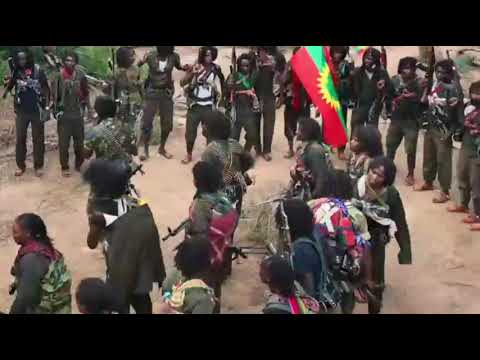 Jaal Obsaa Dagaaga "Ishoo ,Ishoo Jedhaa" New Oromo Music 2022❤💚❤💪💪💪👊