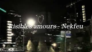 Risibles amours- nekfeu (speedup)