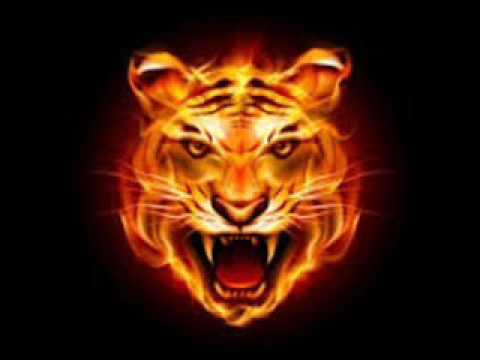 FireTigger - Ale Mora Karmatek  Double U Original Mix