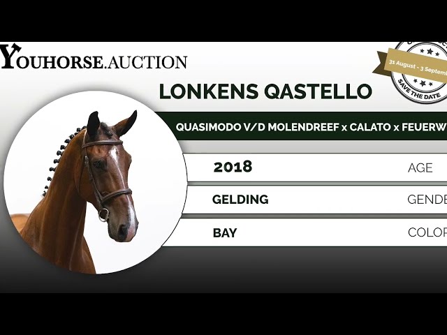 Lonkens Qastello showvideo