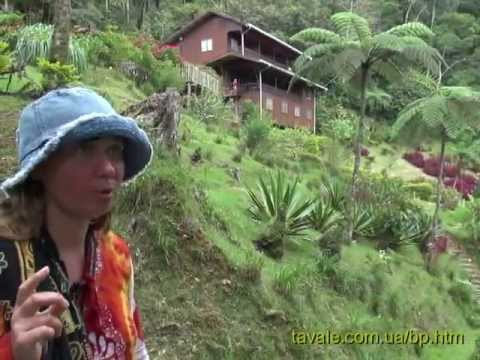 02. Путятина: Сабах (остров Борнео)