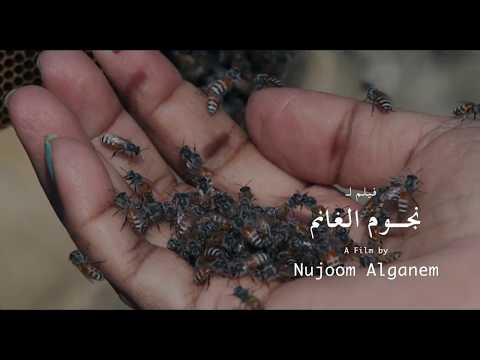 Honey Rain & Dust Documentary - Trailer -إعلان فيلم عسلٌ ومطرٌ وغُبارْ