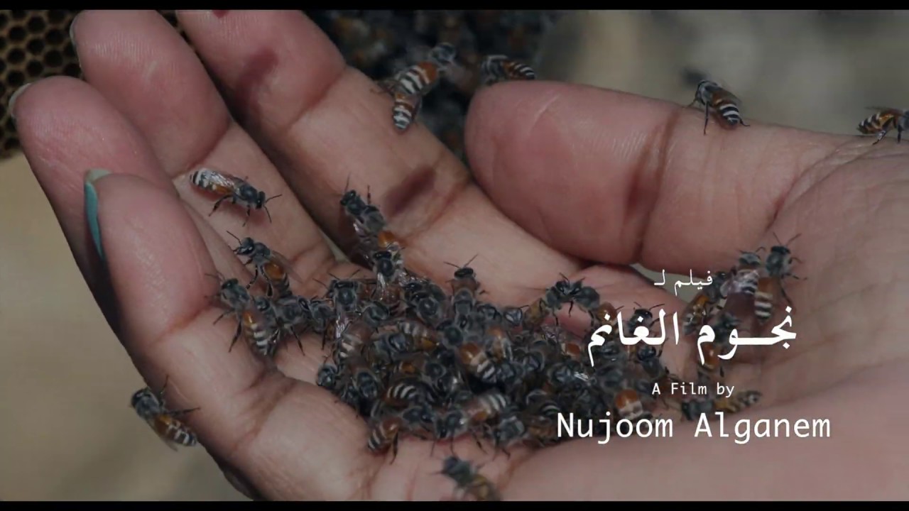 Honey, Rain & Dust — Official Trailer