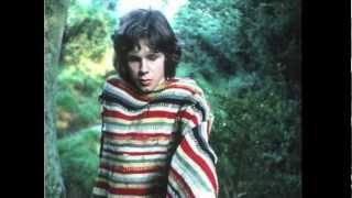 Brad Mehldau Trio - Time Has Told Me (Nick Drake cover)