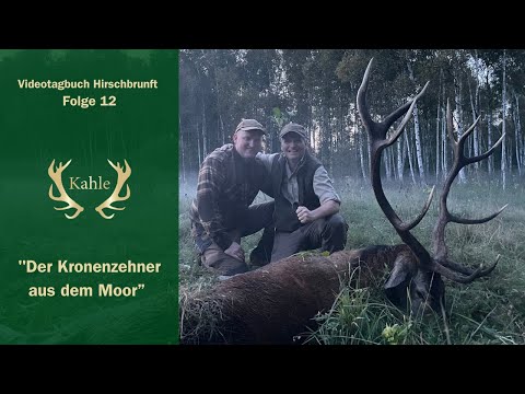 Kapitaler Kronenzehner aus dem Moor erlegt