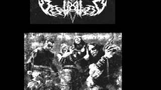 Bestialized - Embryo of The Beast