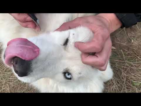 Maily Eyebrows Are Something Special