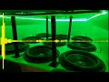 (33,44Hz) Gorilla Zoe - Bad B*tch (Rebassed by kbmo)
