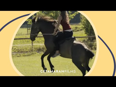 Trailer-Vorschau: Aus Liebe zum Mustang