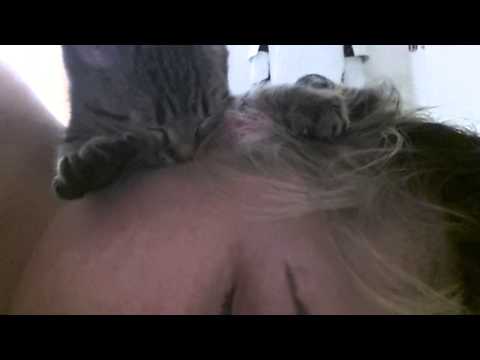 Kitten suckling on my earlobe