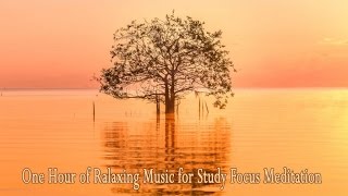 Caesar - 1 HOUR Relaxing Music for Study, Focus, Meditation (12Hz)