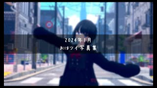おはようツイートの写真まとめ　2024年1月　【VRChat/月奏雪】 #VRChat #VRC #vtuber