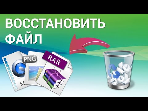 Как восстановить удаленные файлы в Windows 11, 10, 8, 7?