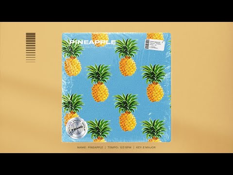 Free Lovely Chill R&B Type Beat "Pineapple"