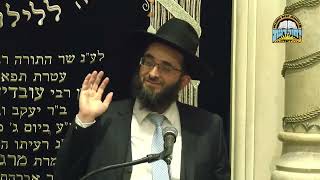 השיעור השבועי של מרן הראשון לציון הגאון רבי דוד יוסף שליט＂א   יסודות הלכות חג הפסח אדר תשפ"ו (רבנים שונים) - התמונה מוצגת ישירות מתוך אתר האינטרנט יוטיוב. זכויות היוצרים בתמונה שייכות ליוצרה. קישור קרדיט למקור התוכן נמצא בתוך דף הסרטון