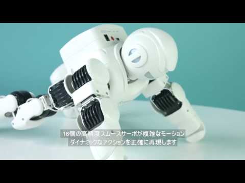 Alpha 1 Pro〔ロボット： iOS／Android／Mac／Windows対応〕【STEM教育 