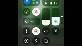 She Burned Me Down (Intro Riff Loop)