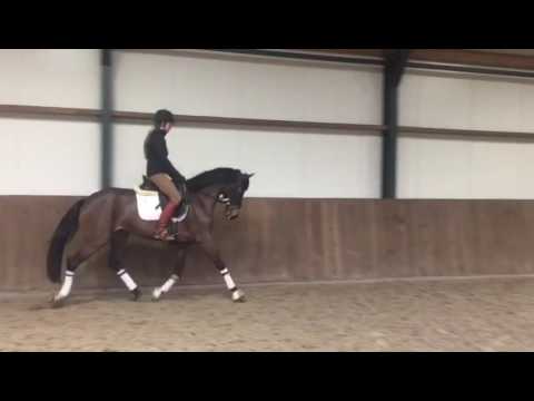 2013,mare,160,Duisenberg.