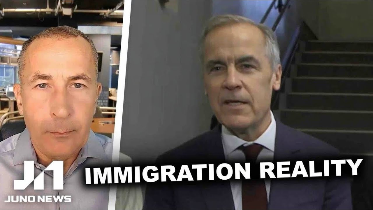 Liberals FINALLY ADMIT mass-immigration has ruined the economy