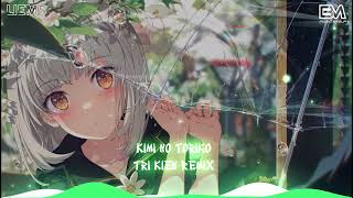 Download lagu Kimi No Toriko - Tri Kien Remix | Nhạc Cute Remix Hot Trend TikTok Mới Nhất 2024♬ mp3
