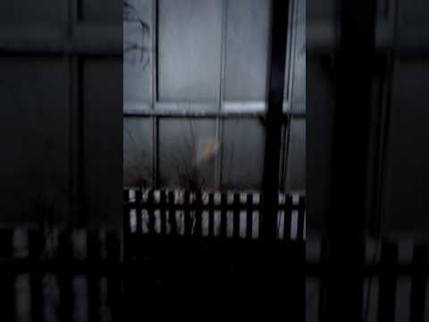 FLIP BOTTLE MISZCZELENDŻ