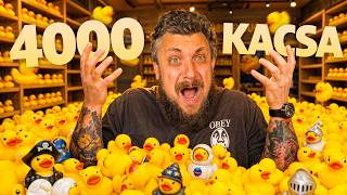 Szimulátor Szerda | Sort them Ducks