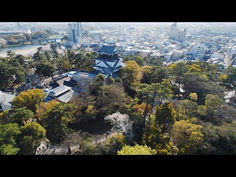 岡崎城と桜 Sakura Cherry Blossoms at Okazaki Castle
