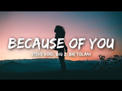 Steve Void & Big Z - Because Of You (Lyrics / Lyrics Video) ft. Bri Tolani