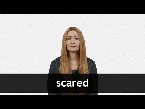 SCARED  Pronúncia em inglês do Cambridge Dictionary