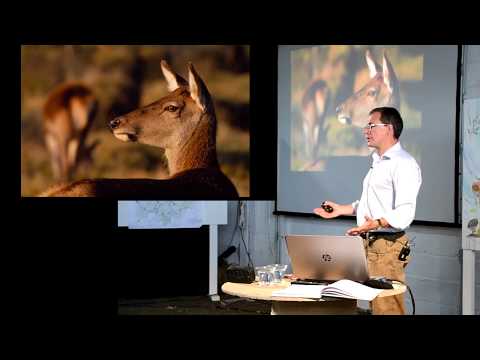 Knepp "Freeing the Landscape": Vera Talks - David Balharry