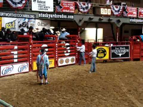 Little Zorro at Northside