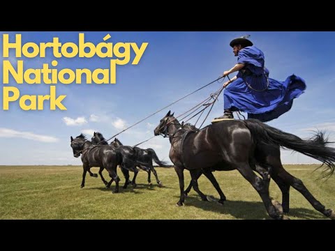Discovering Hortobágy National Park: The Puszta of Hungary