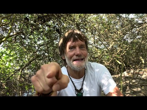 Awaken Your Spiritual Prowess By Overcoming Addictions!