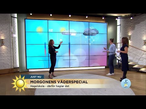Meteorologens hagelskola - därför haglar det så mycket! - Nyhetsmorgon (TV4)