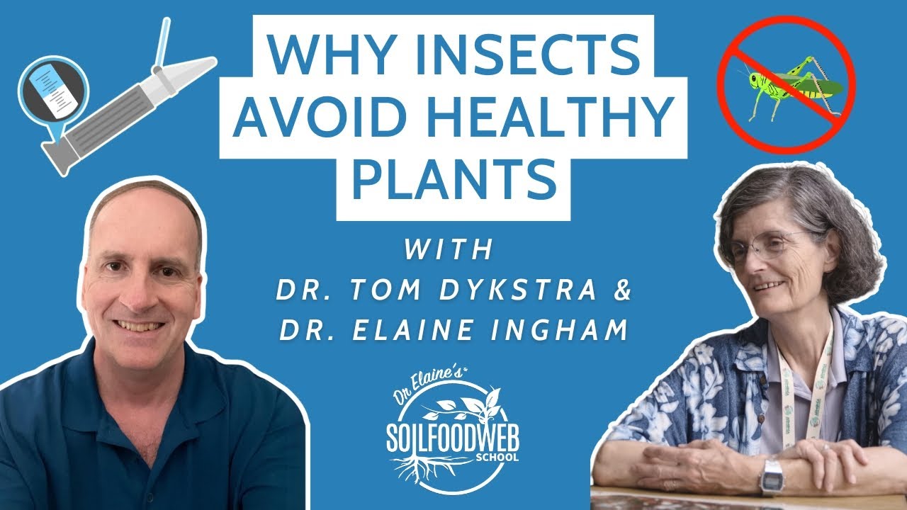 Why Insects Avoid Healthy Plants with Dr. Tom Dykstra and Dr. Elaine Ingham