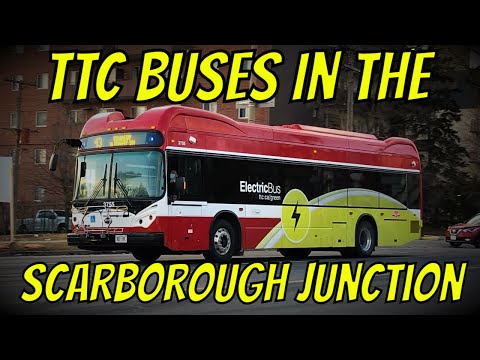 TTC Buses in the Scarborough Junction Compilation (March 2021)