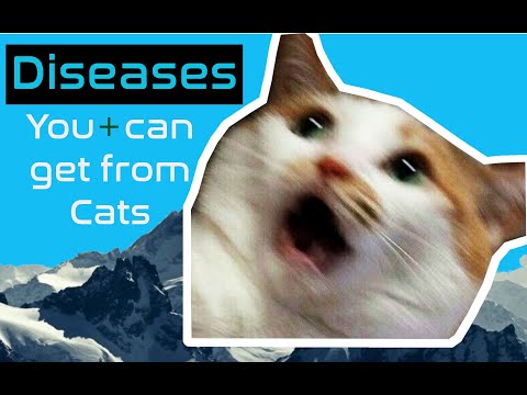 What diseases do cats carry?