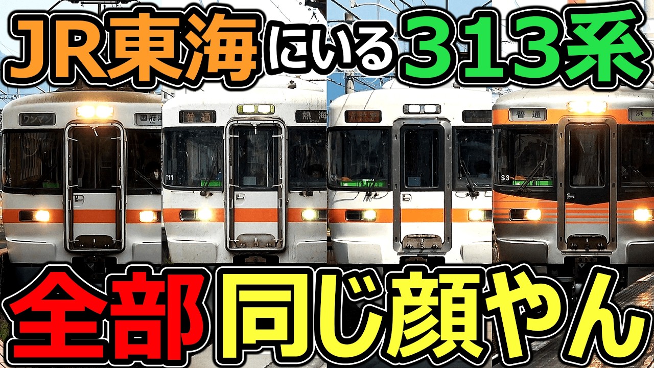 【見分けられる？】東海の沼形式が複雑すぎました・・・【JR東海313系 後編】