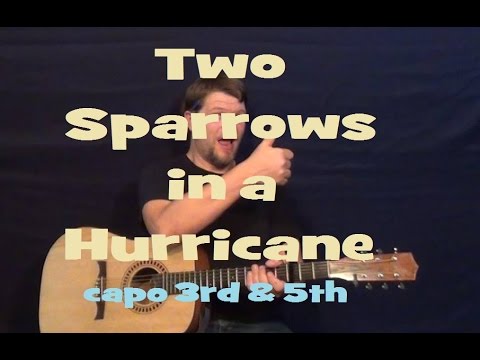 Two Sparrows In A Hurricane - Tanya Tucker