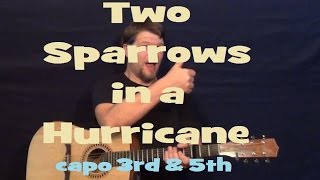 Two Sparrows in a Hurricane (Tanya Tucker) Guitar Lesson Strum Fingerstyle How to Play