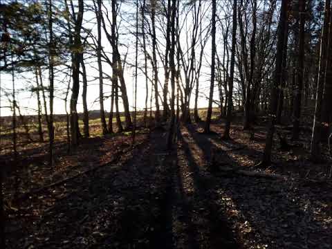 St. James Hospital (Roud 2) - James 'Iron Head' Baker