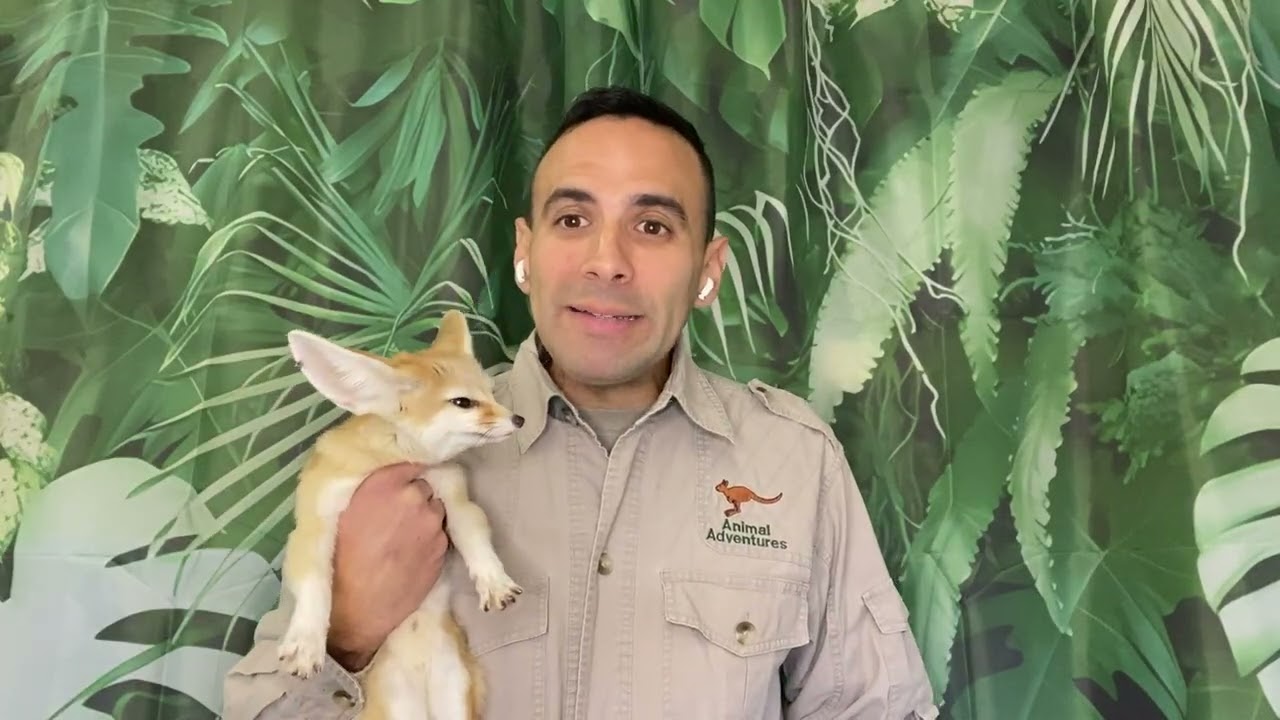 Promotional video thumbnail 1 for Nature Nick's Animal Adventures
