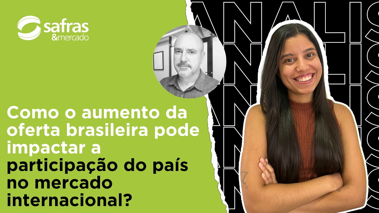 Safra brasileira de algodão apresenta desempenho acima das expectativas iniciais