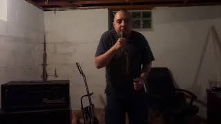 Ladybug Agents of Oblivion