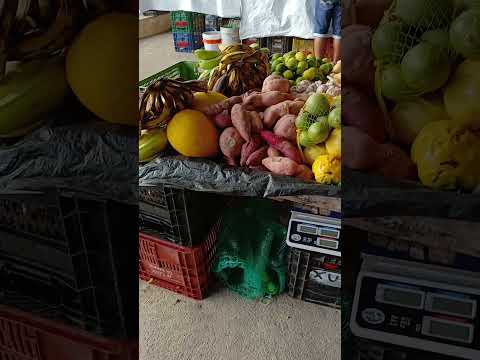 feira de gavião Bahia