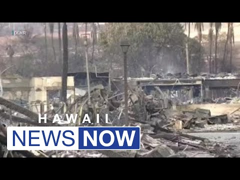 State’s independent investigators haven’t ruled out criminal wrongdoing in Lahaina wildfire disas...