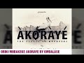 ORIKI MODAKEKE AKORAYE BY OLUYEMI OMOALASE 08064025704