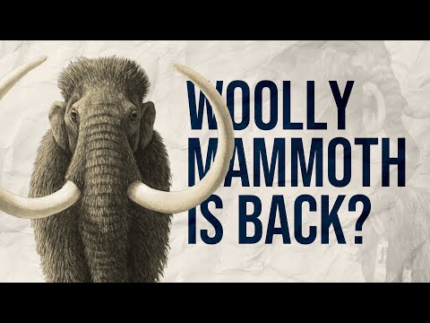 This Is Why Scientists Want To Bring Back The Woolly Mammoth