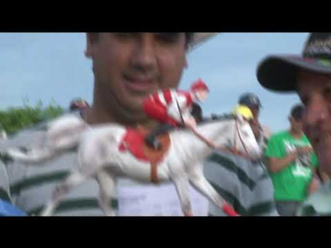 8 Páreo Final Vl GP Haras Primavera Canindé CE 02 e 03 de Março 2013