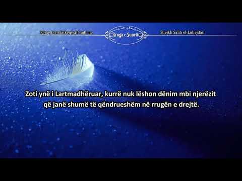 Përse bien fatkeqësitë mbi ne – Shejkh Salih el-Luhejdan